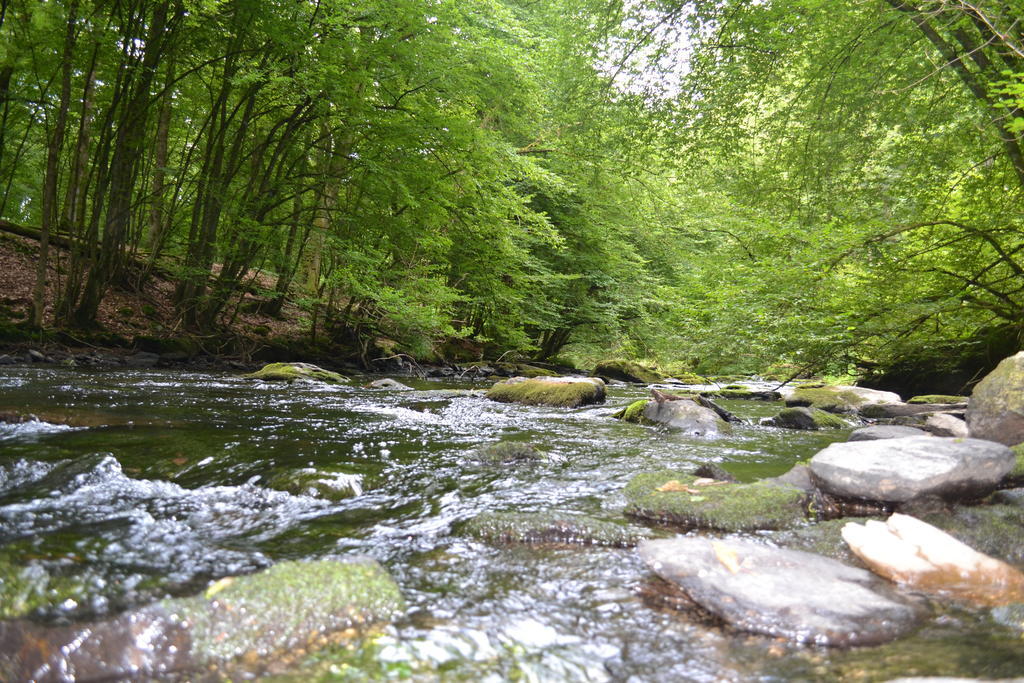 Gite La Clef Des Champs Libin Buitenkant foto