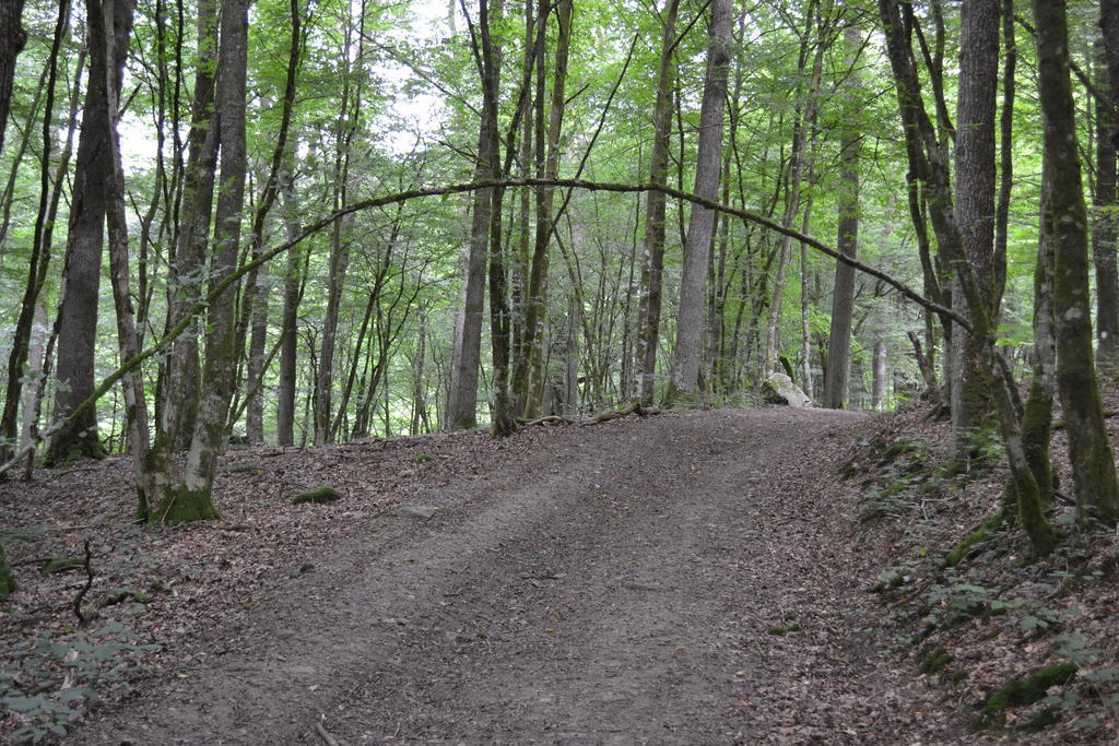 Gite La Clef Des Champs Libin Buitenkant foto